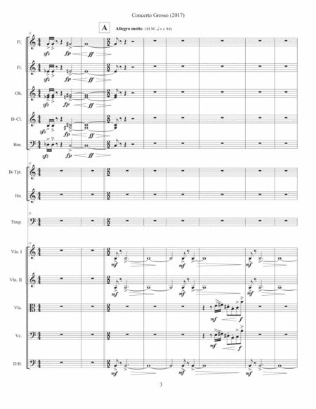 Concerto Grosso (2017) for chamber orchestra