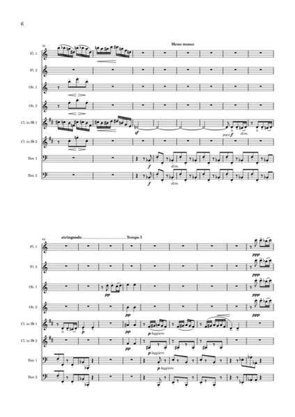 Suite - Op. 14 - 1st movement - Woodwind Ensemble image number null