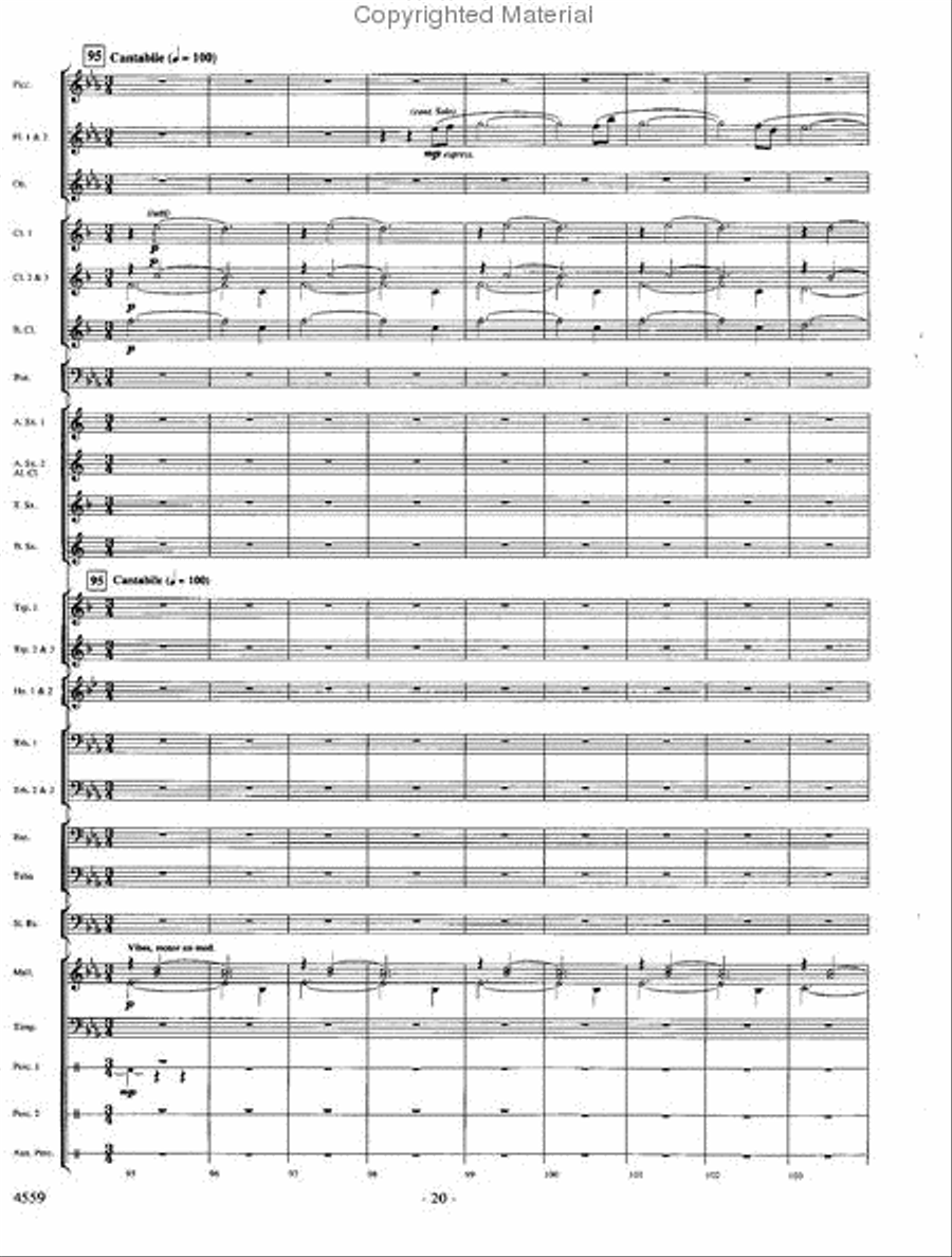 Into the Raging River Into the Raging River Concert Band scores gallery preview page 19