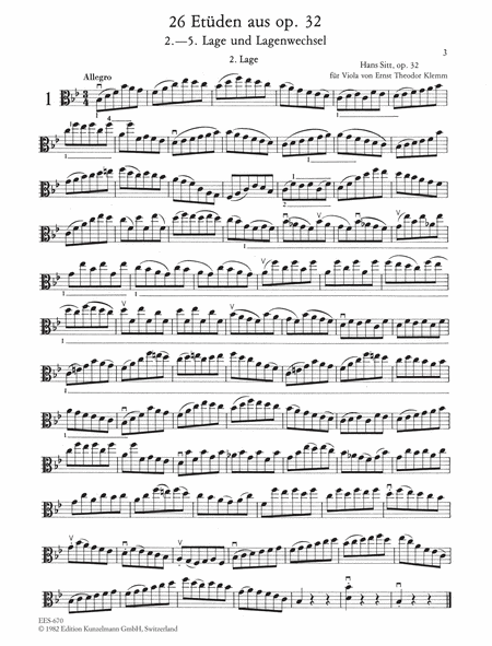 26 studies for viola