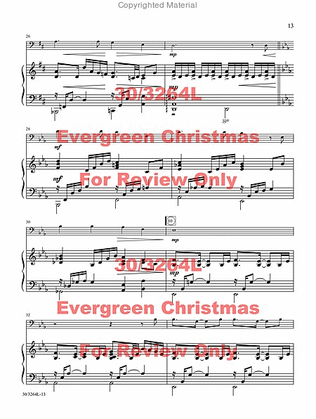 Evergreen Christmas image number null