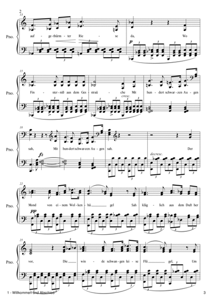 Schubert Song Transcriptions for Solo Piano: Op. 56 image number null