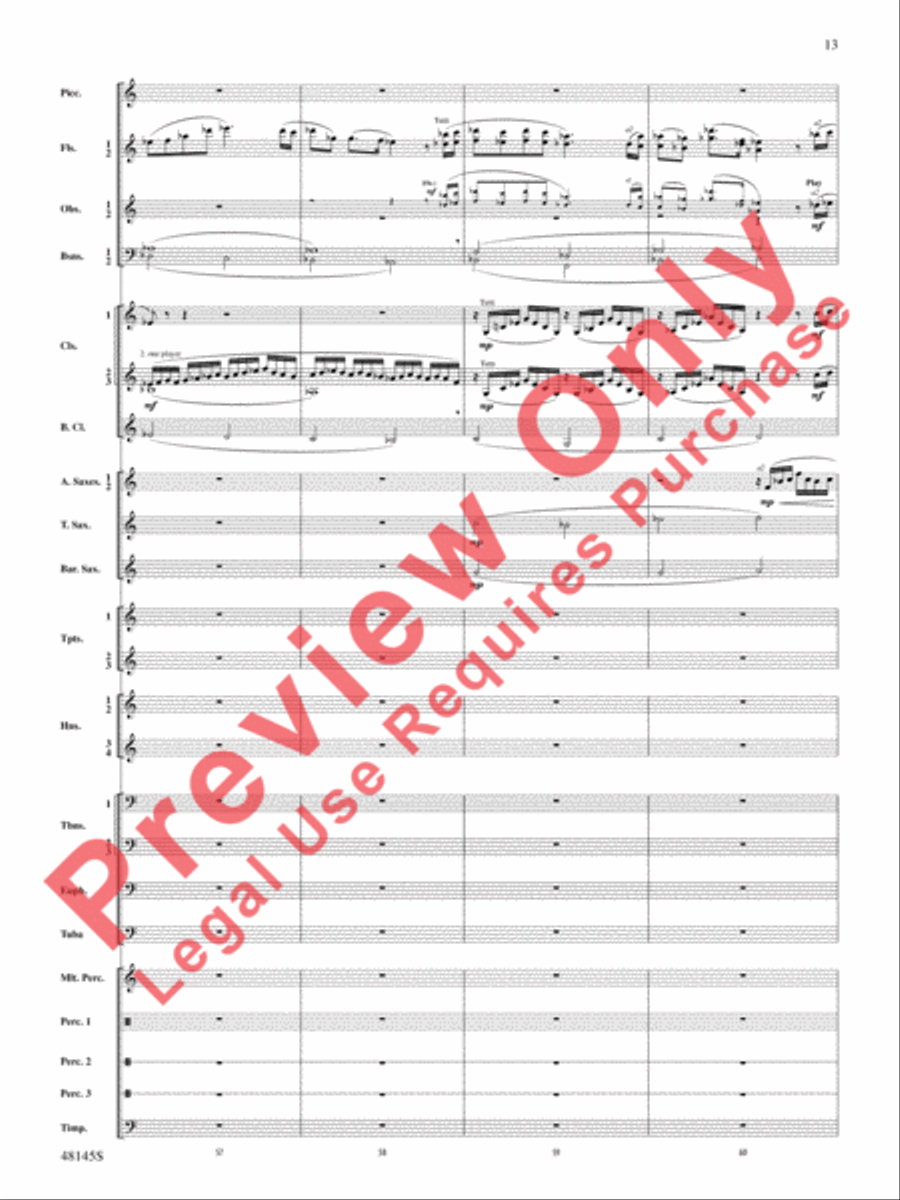 The River Seneca The River Seneca Concert Band scores gallery preview page 14
