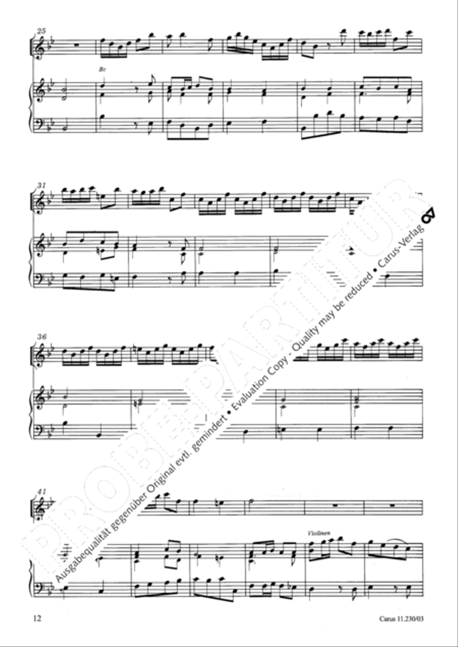 Concerto in B flat major Recorder scores gallery preview page 13