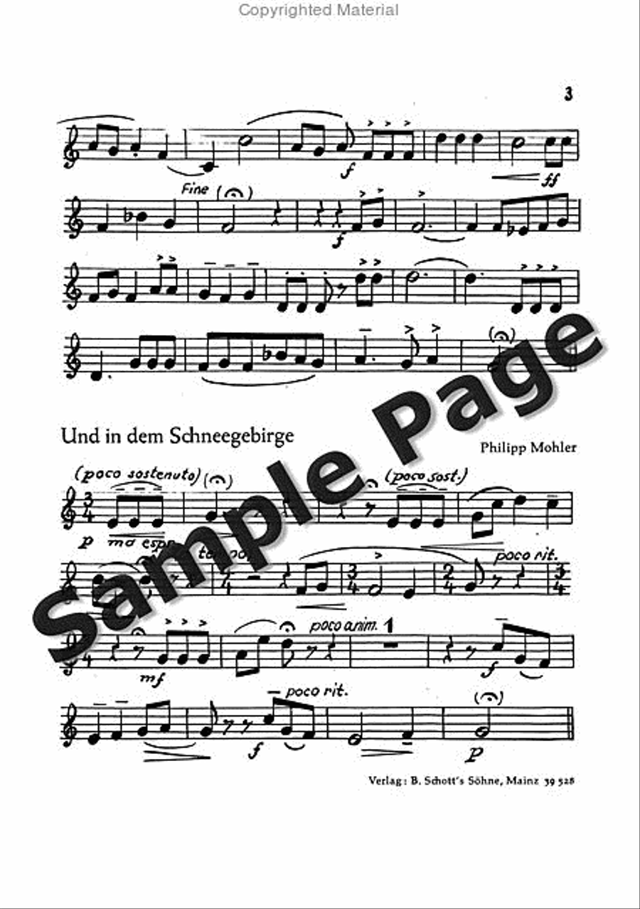 Mohler Ph Festliche Liedkantate Op37(dsb TTBB scores gallery preview page 8