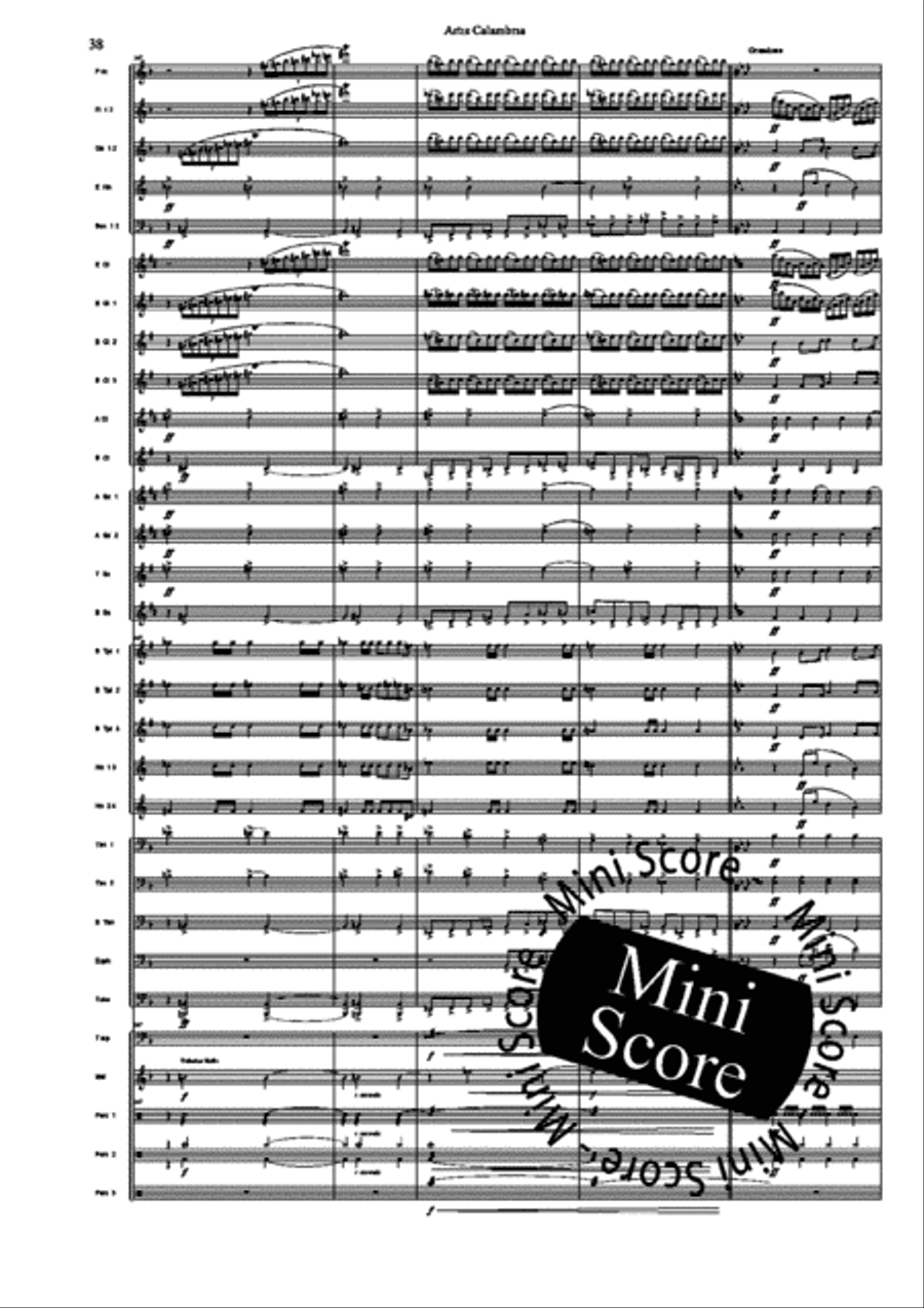 Artis Calambria Concert Band scores gallery preview page 40