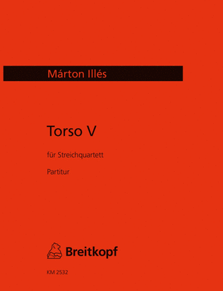 Book cover for Torso V