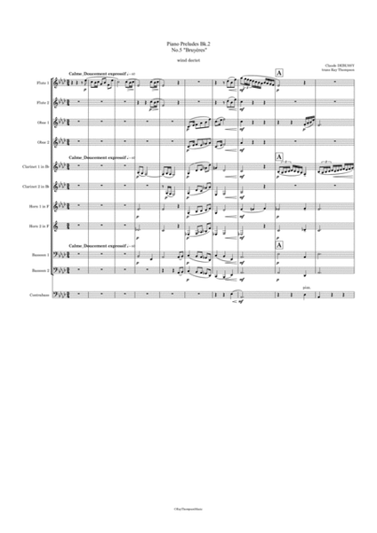 Debussy: Piano Preludes Bk.2 No.5 "Bruyères" - symphonic wind dectet image number null
