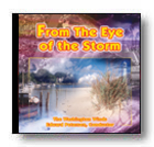 Book cover for From The Eye Of The Storm