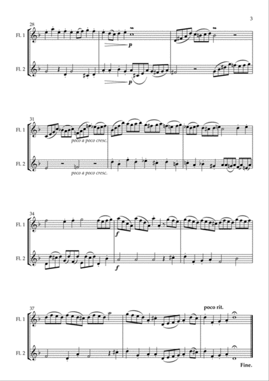 Fantasia in D Minor arranged for Flute Duet Flute Duet scores gallery preview page 5