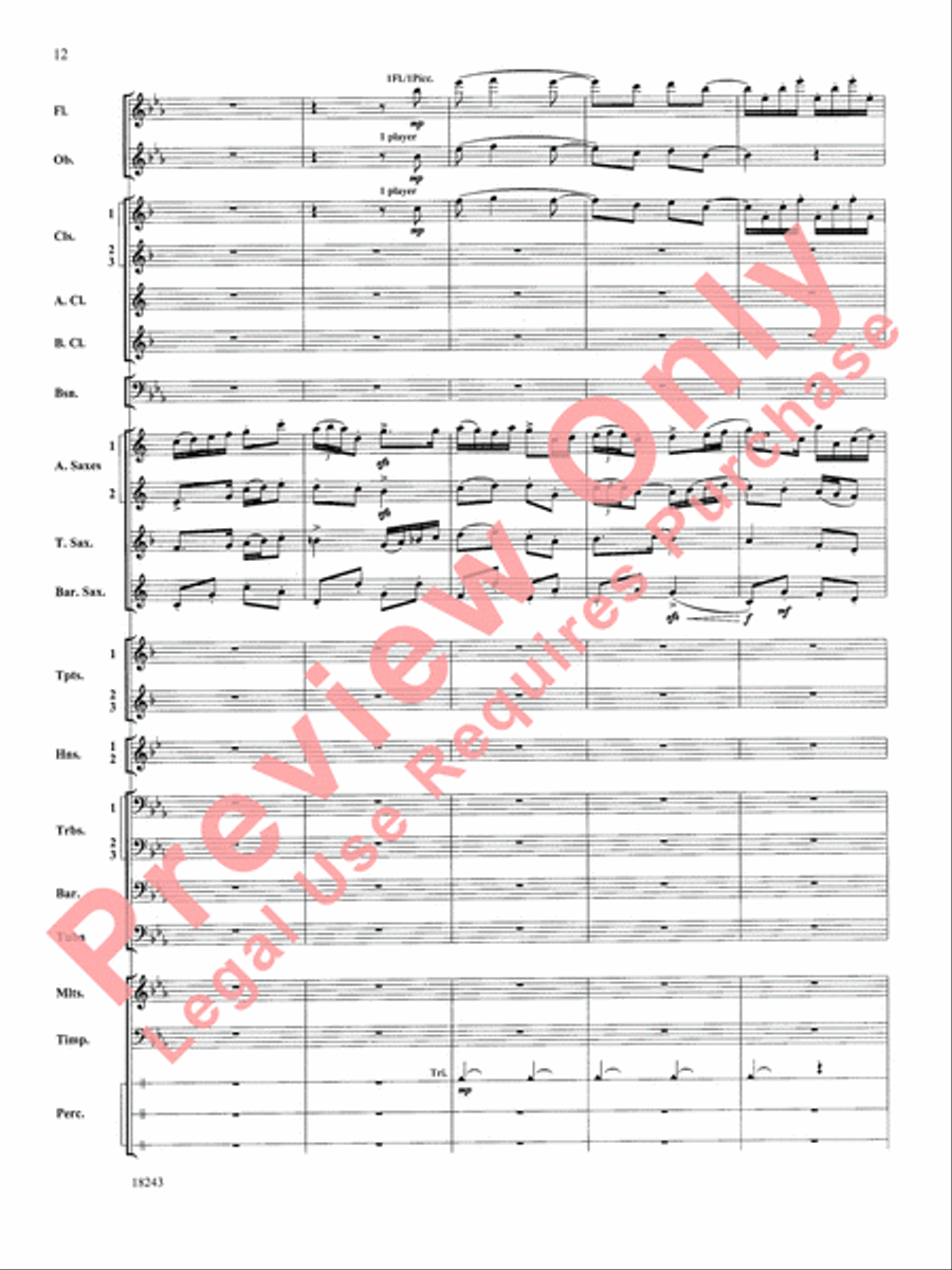 A Longford Legend A Longford Legend Concert Band scores gallery preview page 13