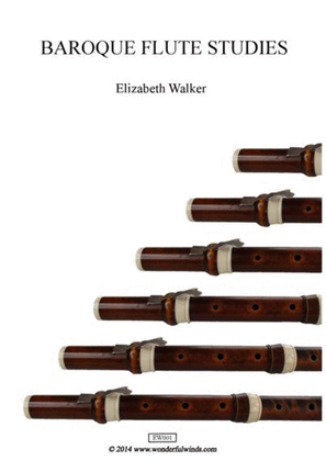 Book cover for Baroque Flute Studies