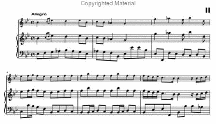 Concerto in E-flat major Orchestra scores gallery preview page 3