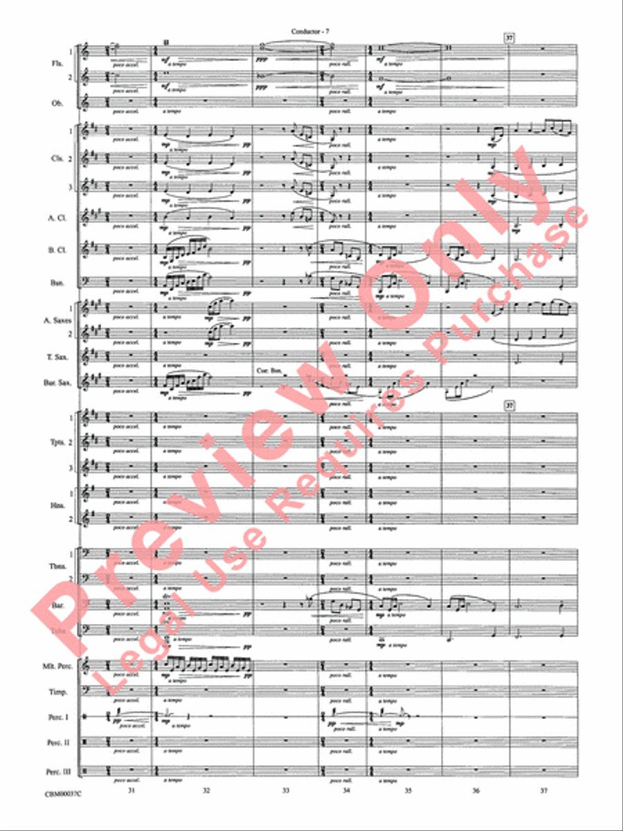 The Perfect Storm (from the Warner Bros. Motion Picture) Concert Band scores gallery preview page 10