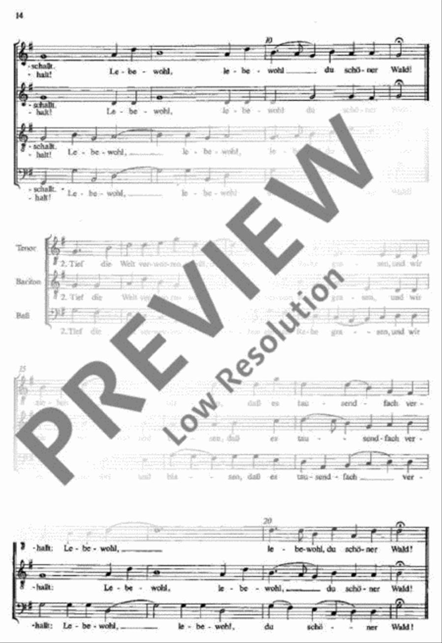 Eichendorff-Chorlieder 4-Part scores gallery preview page 14