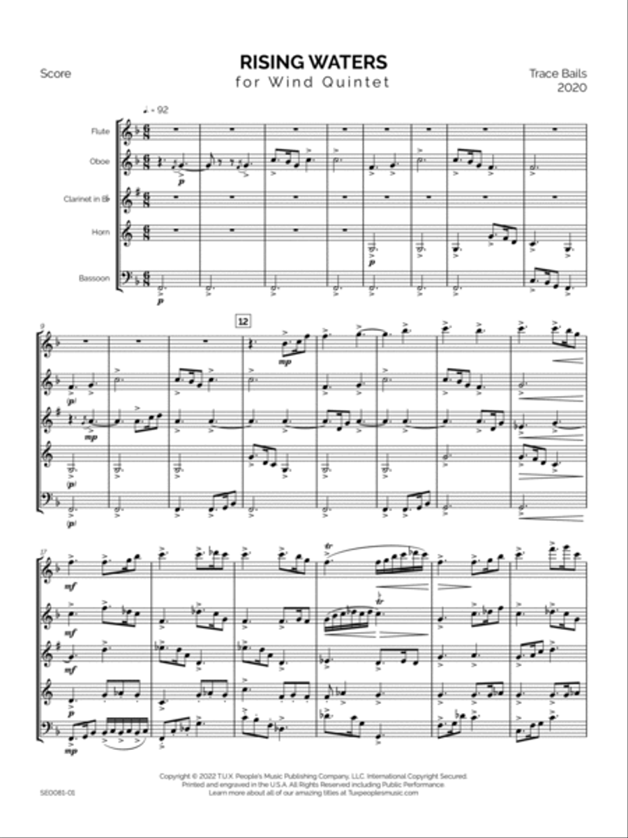 Rising Waters Woodwind Quintet scores gallery preview page 4