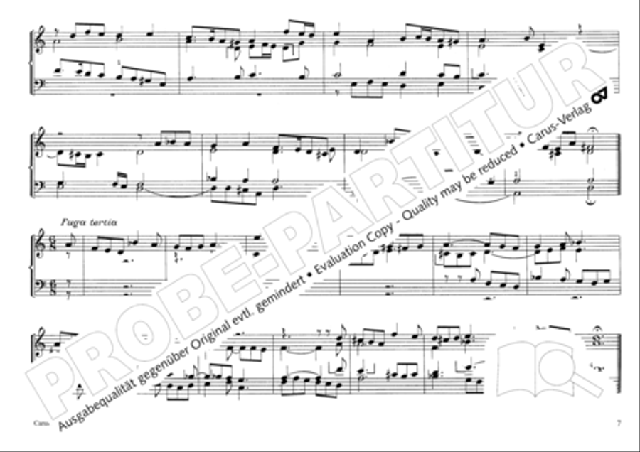 Musikalischer Blumenstrauss Organ Solo scores gallery preview page 10