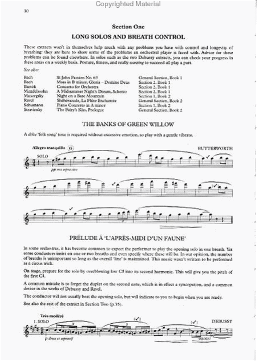 The Orchestral Flute Practice Flute scores gallery preview page 2