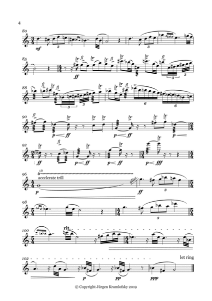 Concerto For Flute and Orchestra 2nd mov. - Reduction for Flute, Cello and Piano