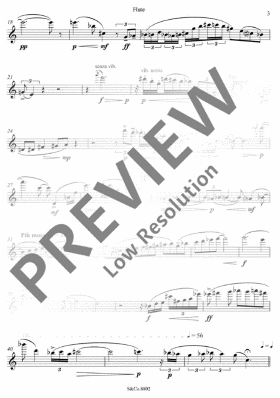 The Knight's Stone Flute Solo scores gallery preview page 6