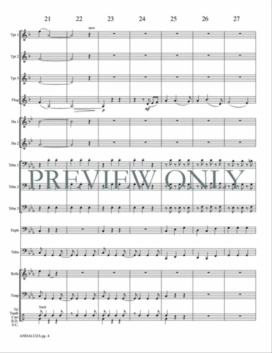 Andaluza Small Ensemble scores gallery preview page 6