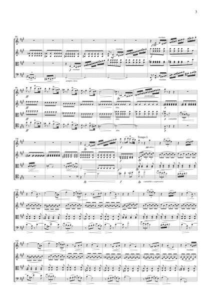 Borodin Notturno (String Quartet No.2, 3rd mvt.), for string quartet, CB501 image number null