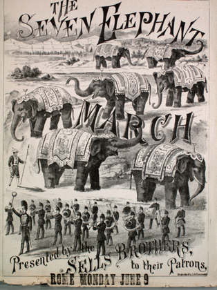 Seven Elephants Marc
