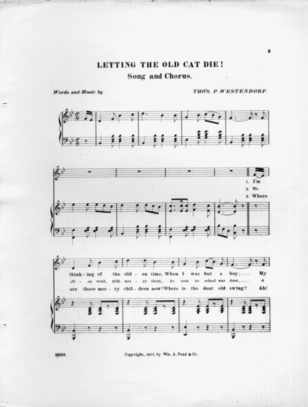 Letting the Old Cat Die. Song and Chorus