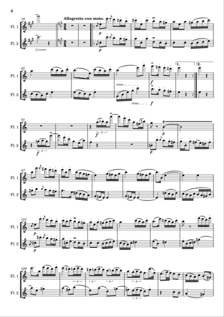 Franz Doppler - Andante et Rondo, Op.25 - For 2 Flutes Original Flute Duet scores gallery preview page 4