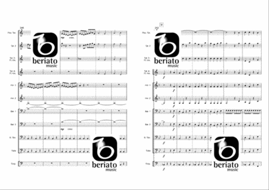 Le Nozze Di Figaro Percussion scores gallery preview page 24