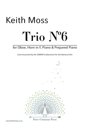 Trio Nº6 - for Oboe, Horn, Piano & Prepared Piano