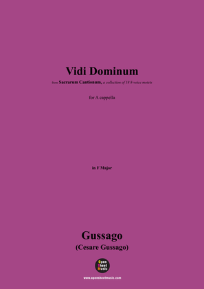 Book cover for Gussago-Vidi Dominum,for A cappella