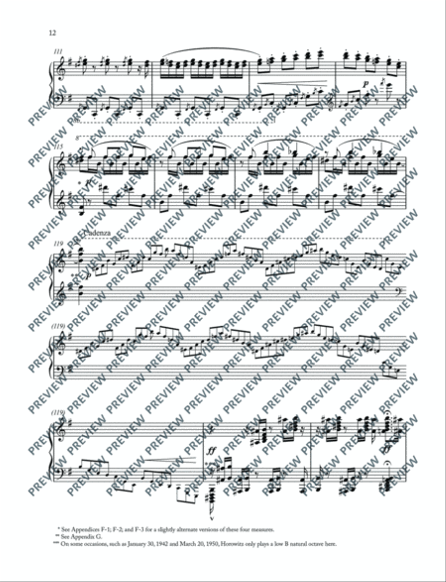 Carmen Variations Piano Solo scores gallery preview page 13