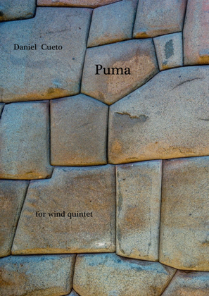 Book cover for PUMA for wind quintet