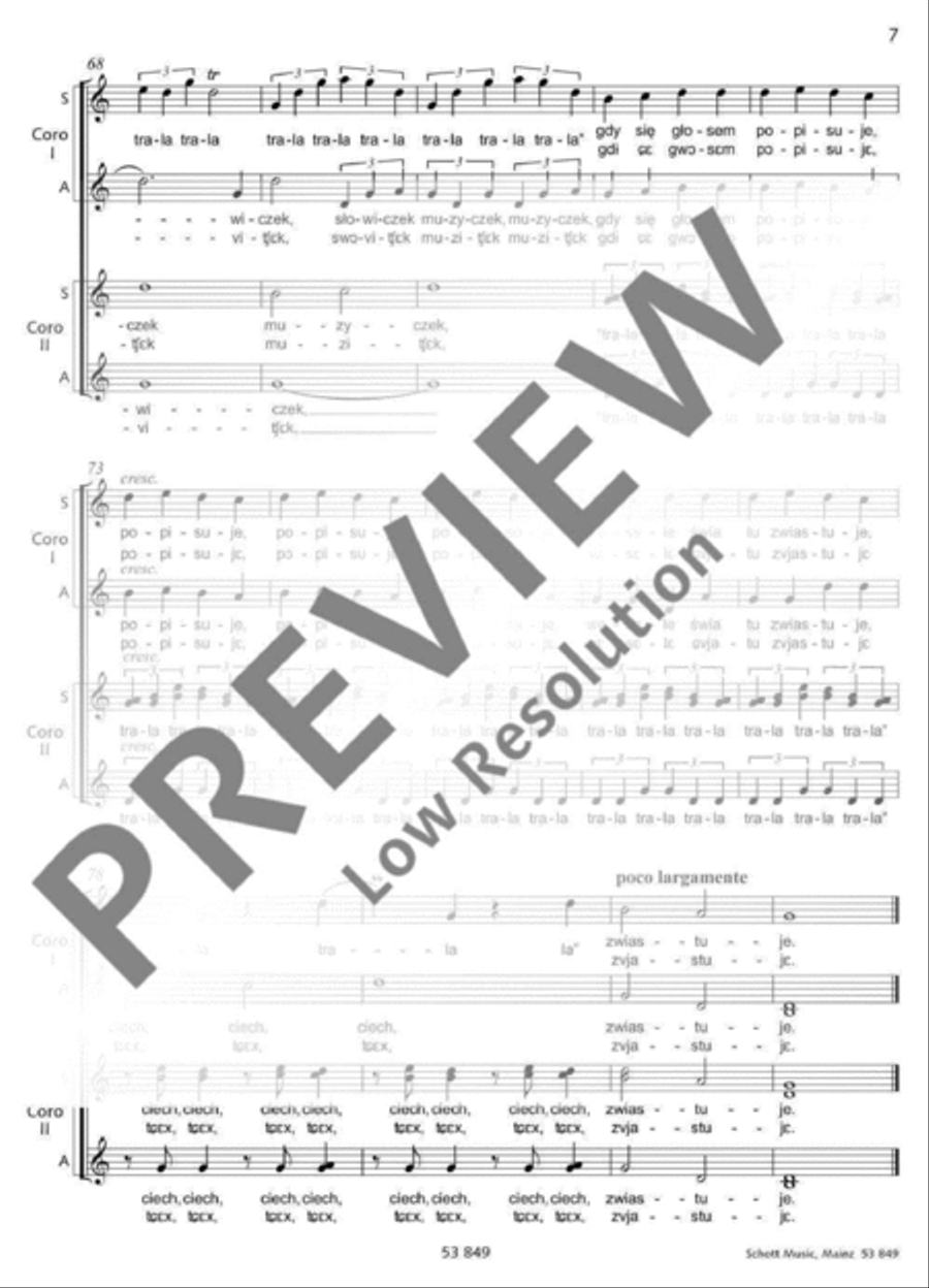 Kaczka pstra SSAA scores gallery preview page 8