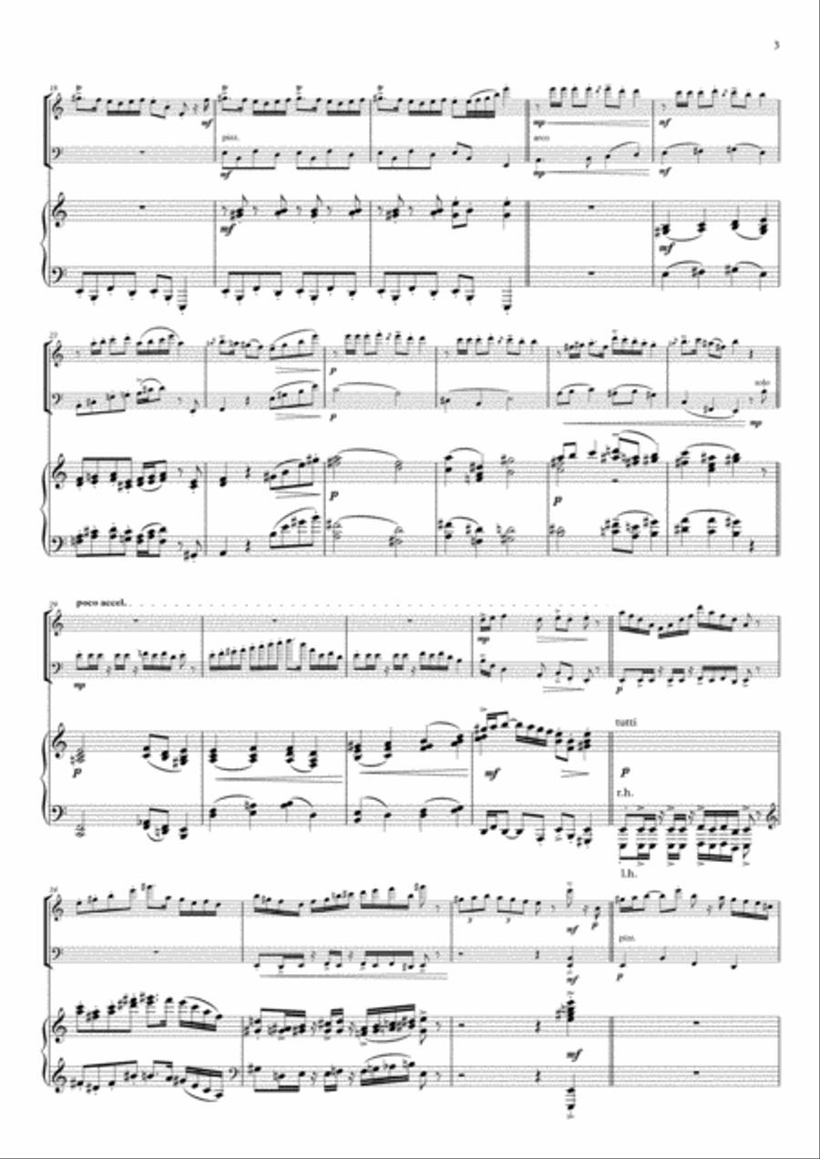 Nigun Miron Bet Abu for Piano, Violin, Cello Chamber Orchestra scores gallery preview page 3