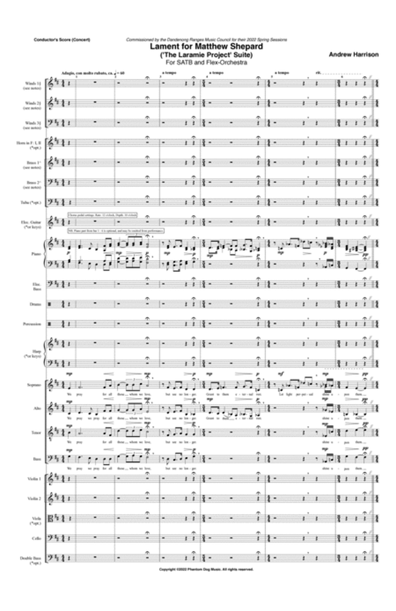 Lament for Matthew Shepard ('The Laramie Project' Suite) - Grade 4 - Score Only image number null