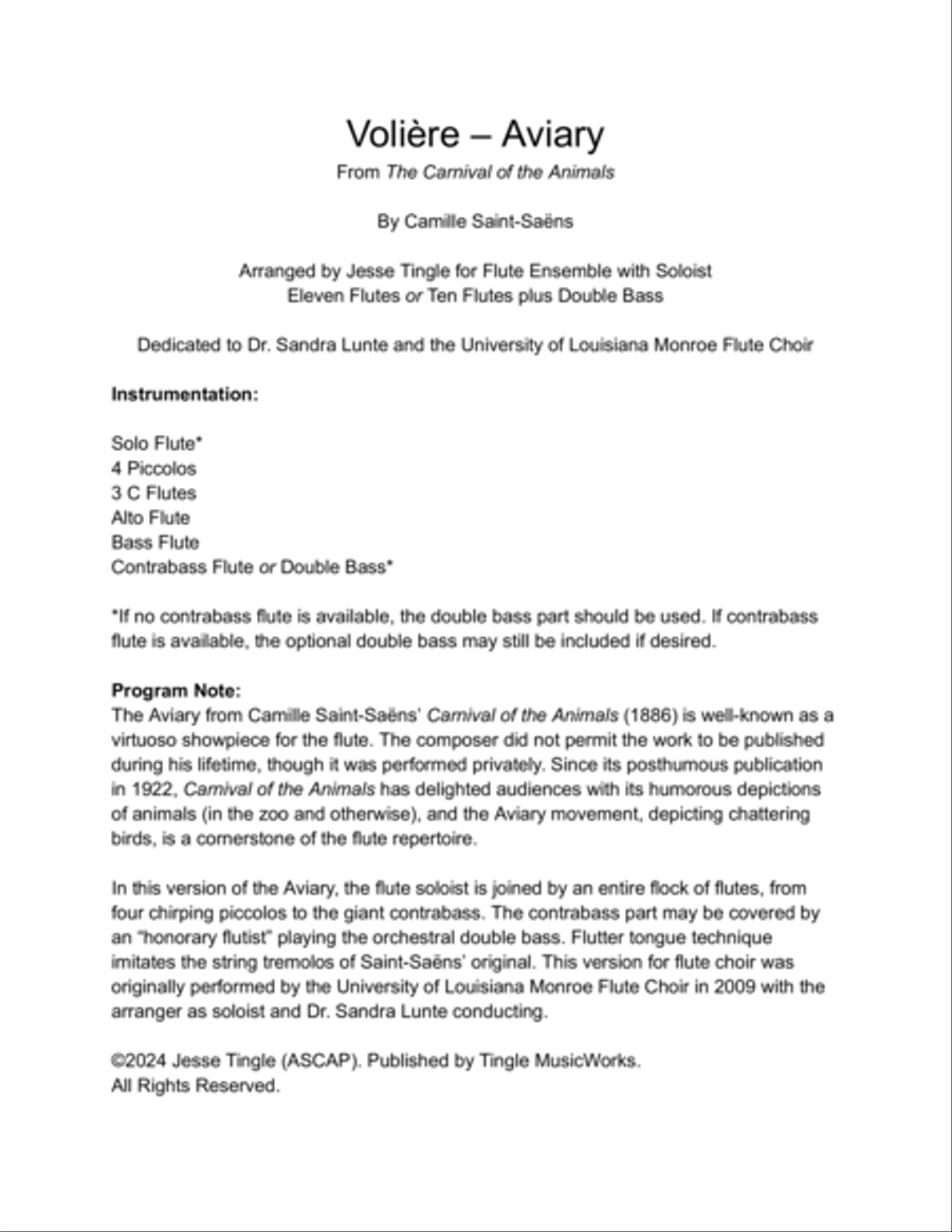 Volière - Aviary from Carnival of the Animals Flute Choir scores gallery preview page 4