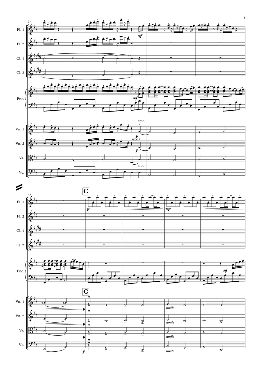 Summer Chamber Orchestra scores gallery preview page 4
