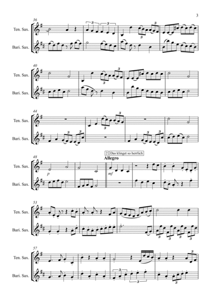 Mozart Duet arranged for Tenor Saxophone and Baritone Saxophone
