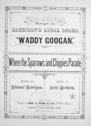 Where the Sparrows and Chippies Parade