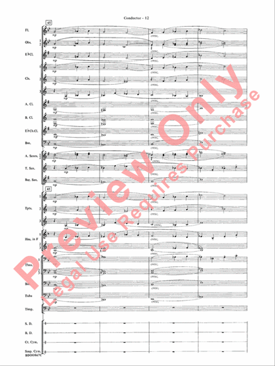 Aria Cantabile Concert Band scores gallery preview page 14