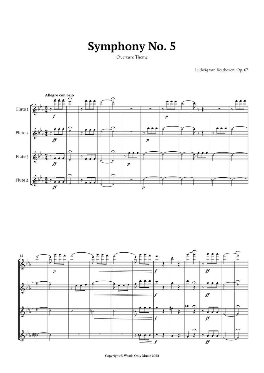 Symphony No. 5 by Beethoven for Flute Quartet Flute Quartet scores gallery preview page 2