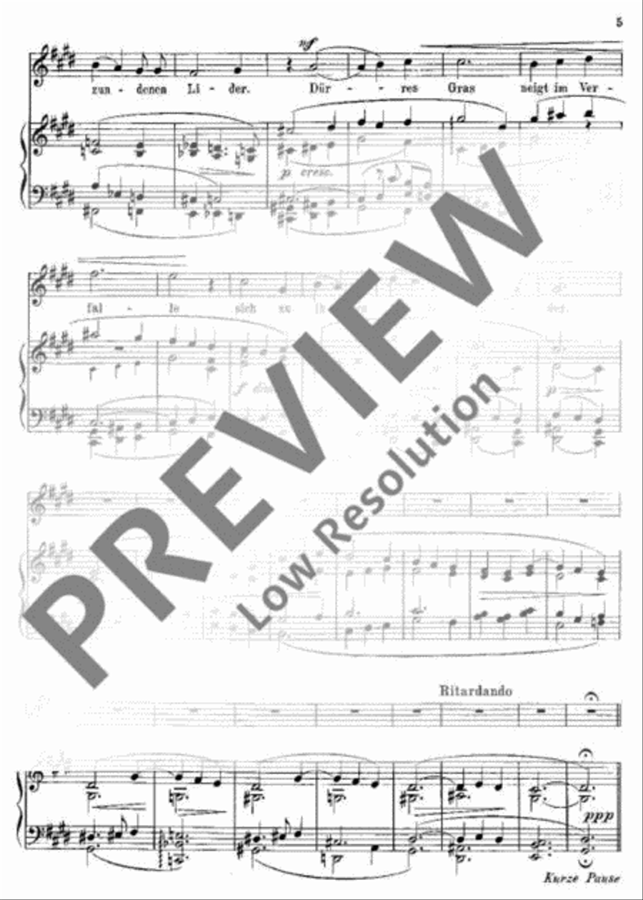 Die junge Magd Flute scores gallery preview page 6