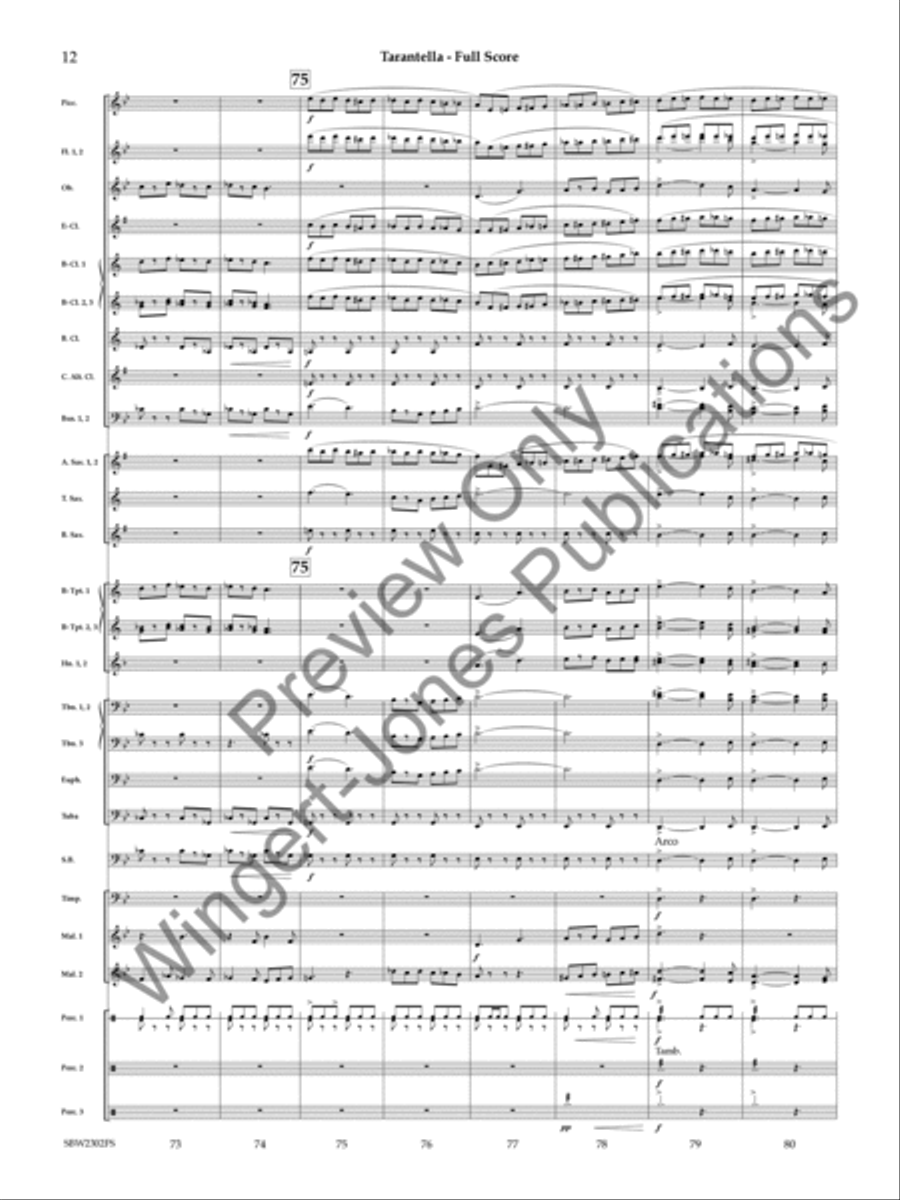 Tarantella Tarantella Concert Band scores gallery preview page 13