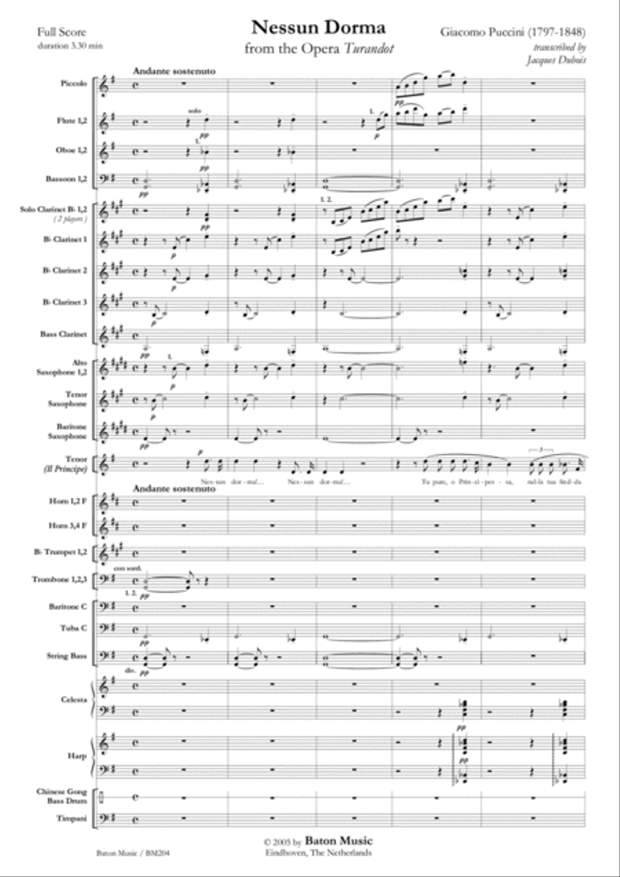Nessun dorma Concert Band scores gallery preview page 2