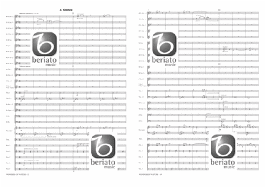 Wonders of Nature Fanfare Band scores gallery preview page 13