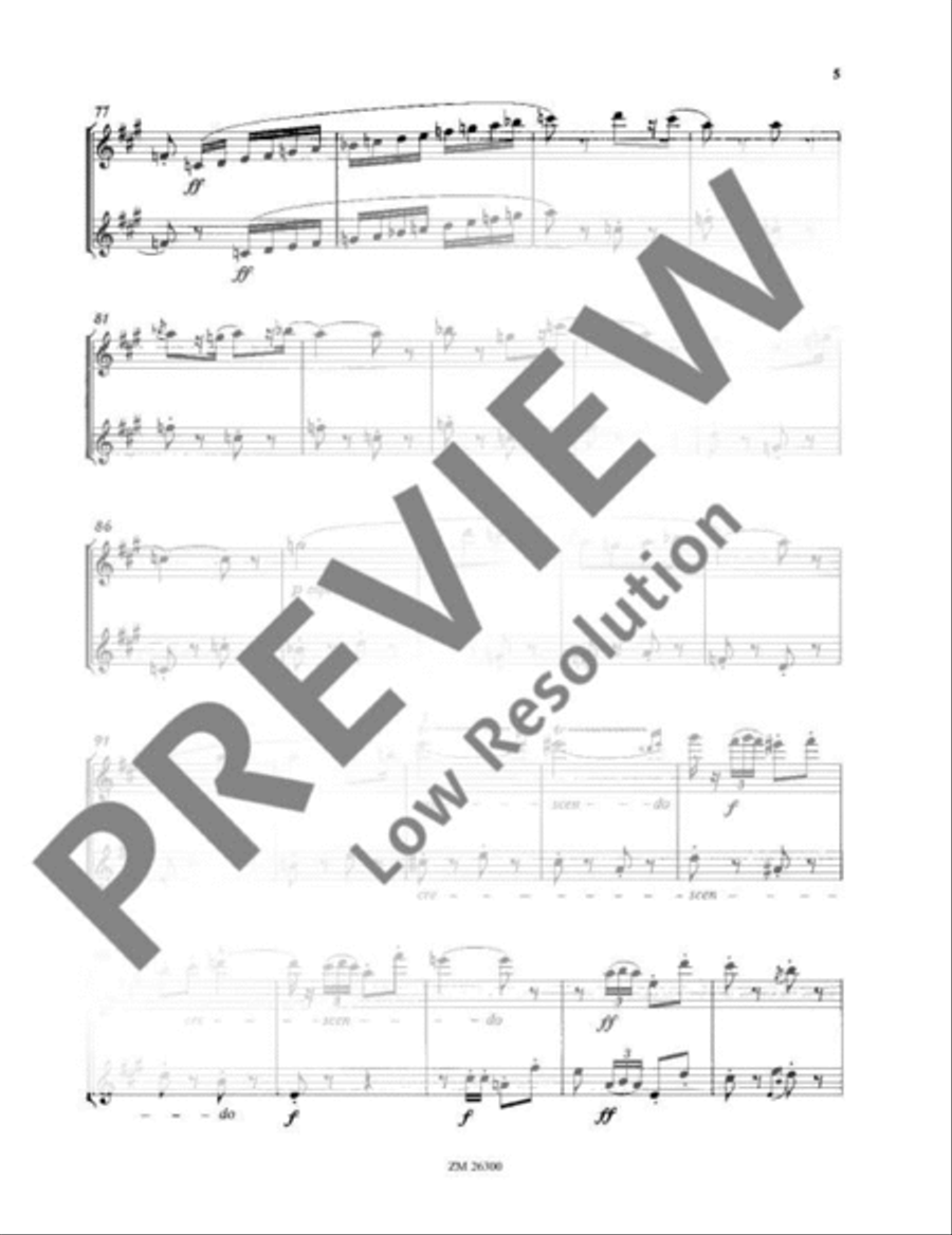 Carmen Suite Flute Duet scores gallery preview page 6