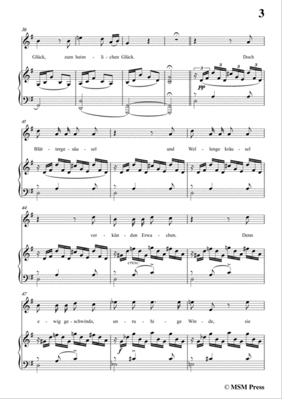 Schubert-Beim Winde,in g minor,for Voice&Piano Voice scores gallery preview page 5