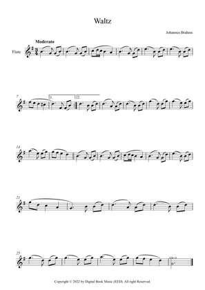 Book cover for Waltz (Op. 39 No. 15) - Johannes Brahms (Flute)